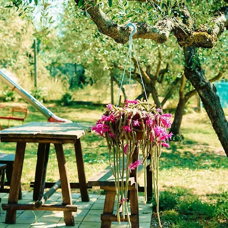 Villa La Casa Del Sole Casamaggiore